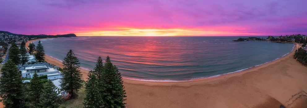 The Entrance Channel Pelican